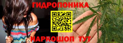 прущие грибы Кулебаки