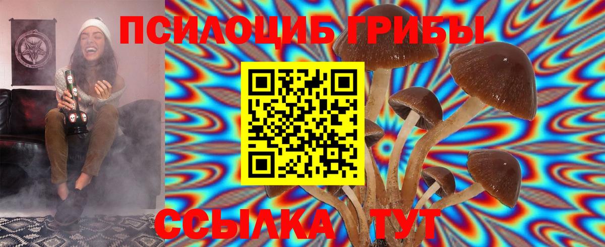 Галлюциногенные грибы мицелий Качканар