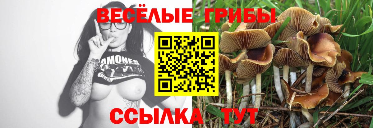 Псилоцибиновые грибы Psilocybine cubensis  Псилоцибиновые грибы MAGIC MUSHROOMS  Вход с VPN  Качканар 